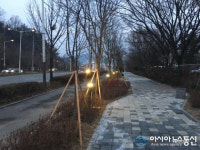 천만그루 정원도시 전주, 백제대로 가로숲 조성 완료