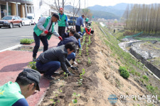함안면 새마을지도자, 함안역 주변 꽃길 조성