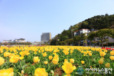 통영 트라이애슬론 광장 주변 봄꽃단지 조성