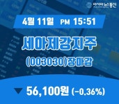 11일 마감보고 세아제강지주 주가 56,100원으로 마감