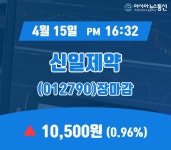 장종리포트 신일제약 주가 10,500원으로 장 마감