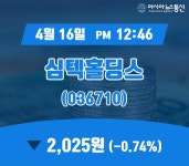 (국내주가정보) 16일 심텍홀딩스 주가 2,025원
