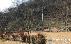 금산군 맞춤형 주민녹지환경 조성사업 완료
