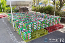 합천호농협대병지점 두릅 수매