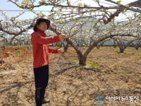 천안교육지원청, ‘천안배’ 풍년 기원…지역봉사 구슬땀
