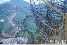 DMZ(비무장지대) 산불에 인력 접근 불가 DMZ 뜻은? 고성 평화 둘레길 언제 갈 수 있나