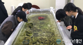 반딧불이의 고장 무주, 반딧불이 생태교육 진행