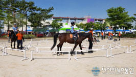 함안군 제32회 함안아라문화제 승마체험행사 운영