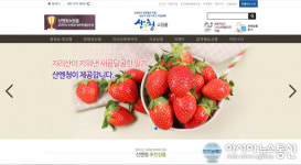 김소정구입품몰 | 산엔청쇼핑몰, 입점품 500여개로 대폭 확대