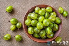 구스베리 무엇? 효능에 이렇게 많아? 부작용 막는 먹는 방법은? 눈에 좋은 음식 추천