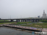 대전 갑천, 촘촘한 교각으로 인해 ‘하천의 호수화’ 우려 증폭