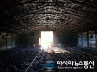 충남 청양 양계장서 불...닭 1500마리 죽어