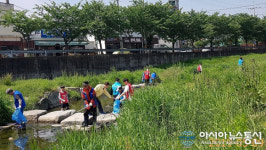 진해구 이동, 신이천 살리기 환경정화활동 ‘구슬땀’