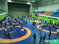 평창군, 레슬링 국가대표 상비군 첫 합숙훈련···지난해 8억8000여만원 경제효과