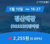 장종리포트 정산애강 주가 2,255원으로 종료