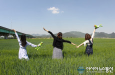 함안군, 강나루생태공원 청보리밭 사진 콘테스트 개최