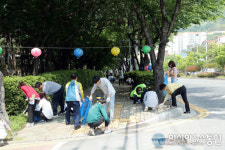 진해구, 시가지공원수목 등 환경정비