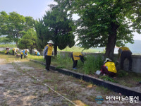 합천 적중미타노인 자원봉사클럽, 환경정화활동