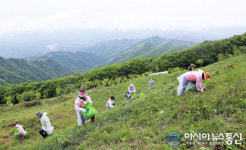 영양 일월산 산나물 향에 푹 빠졌어요