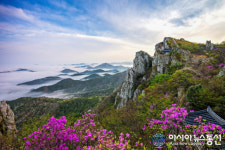 해남군,  내달 1·22일 달마고도 day 걷기 행사