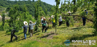 옥천군 군북면사무소, ‘농촌 일손 돕기’ 비지땀