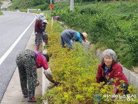 함양 백전면, 대방마을 환경정화 활동