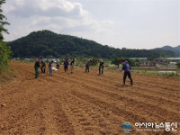 화순군 동면 행정복지센터, 농번기 농촌 일손 돕기 나서