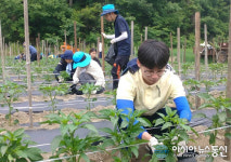 괴산군 농업기술센터, 휴일 반납 농촌 일손돕기