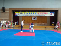 청도군, 제2회 군수배 태권도대회 개최...태권도 꿈나무들의 잔치