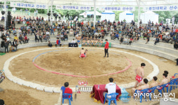 [경산자인단오제]경산자인단오제 대학장사 씨름대회 성황리 개최