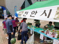 충남 천안시, 지역 농특산물 판로 개척 ‘땀방울’