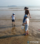 [포토] 태안 몽산포해변, 갯벌에서 누리는 힐링 조개 캐기 체험