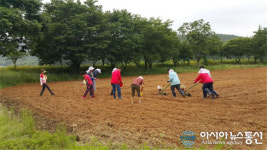 화순군 동복면, 화순 8경 연둔리 숲정이 꽃밭 조성