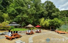 충남 금산군 산림문화타운 목공체험, 학생들에게 인기