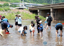 골부리 줍기에 푹 빠졌어요...영양 청기 골부리축제 성료