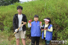 오산천에 꼬리명주나비 날아다니는 모습을 볼 수 있기를