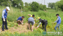 오산천 생태계 살리기 위한 자원봉사 활동 전개
