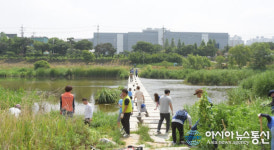 오산환경운동연합, 오산천 생태계 살리기 위한 활동 전개