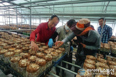 무주군 체재형 가족실습농장 수확물 이웃돕기