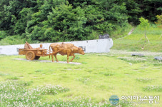 來世에서 다시 만난 워낭소리 가족