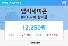 [특징주 마감시황] 엘비세미콘(061970), 1700원(+16.11%) 상승한 1만2250원에 마감