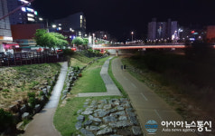 대전천동로 하상도로 ‘확’ 밝아졌다