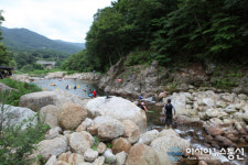 7월엔 백운산 4대계곡탐진강서 시원한 여행을