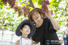 2019 김천자두포도축제, 18일 개막