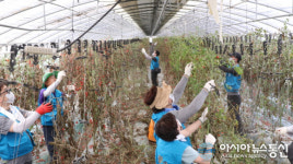 영진사이버대 사회봉사단, 농촌 찾아 이웃사랑 펼쳐