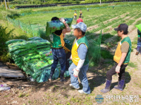 [단신]대전준법지원센터, 유관기관 합동 농촌일손돕기 펼쳐