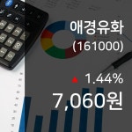 (주식종목) 9일 애경유화 현재 주식 거래가격 7,060원