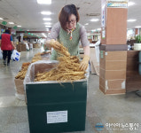 충남 금산군, ‘GAP 안전인삼’ 녹색 박스로 유통