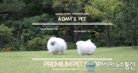 강아지 분양 및 고양이 분양 아담스펫, 동물병원과 연계협약을 통해 철저한 건강검진 실시