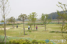충남도 시군초청 그라운드골프대회 서산 전용구장서 4일 개최